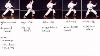 Karate Terminology Basic Blocks Part 1 [upl. by Dray]