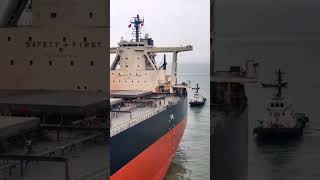 Capesize bulk carrier  JMU Cabin [upl. by Glennon]