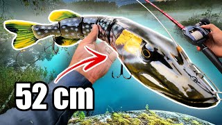 MONSTER vs Tiny Lures for PIKE FISHING 🔥 1000 g Swimbait [upl. by Adnawt150]