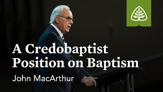 MacArthur vs Sproul  A Baptism Debate [upl. by Ayamahs232]