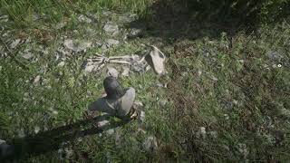 Dinosaur Bone 25 Red Dead Redemption  Heartlands Abandoned Shack Bone Location [upl. by Chaney]