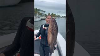 Wow fishing spearfish fishinggirl spearo fish spearfishing cubera snapper triggerfish sea [upl. by Tobin]