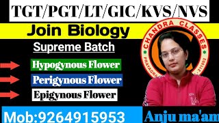 TRICKS TO LEARN HypogynousPerigynous and Epigynous Flower II TGT II PGT II LT II GIC BIOLOGY [upl. by Bozuwa]