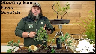 A Budding Trend Growing Cannabis Bonsai Trees [upl. by Aneert]