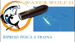 Water Wolf 20  Pesca a traina costiera a palamite serra e barracuda [upl. by Sholom]