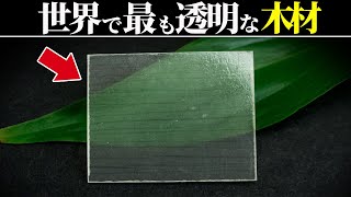 ガラスに代わる科学技術『Transparent Wood』【ゆっくり解説】 [upl. by Fruma253]