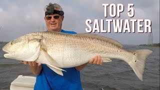 My Top Five Saltwater Fish Of 2023 [upl. by Tatianas156]