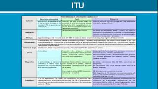 Infecciones en el Embarazo INFECCIONES DE VÍAS URINARIAS  Ginecología [upl. by Ihcehcu]