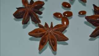 Star anise poisoning side effects [upl. by Caputo734]