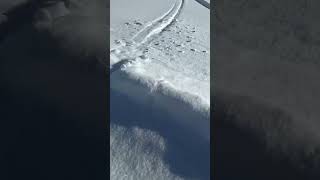 Japan skiing  snowboarding in HAKUBA Tsugaike slopes with pow for days 😍😍😍 [upl. by Mcmahon73]