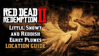 Little Snowy and Reddish Egret Plumes  Location Guide  Red Dead Redemption 2 [upl. by Enidlarej]