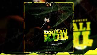 Paul Maker x Harmonize  Serikali Kuu Official Audio [upl. by Zeculon]