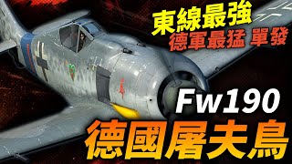 Fw190為何被稱為二戰德國最好的戰機？它和其他國家的招牌戰機相比都有那些優缺點？二戰 德國 戰鬥機 fw190 [upl. by Symon902]