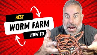 MY BOKASHI WORM FARM COMPOSTING EXPERIMENT [upl. by Akeit]