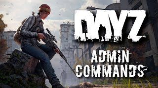 How to Use DayZ Admin Commands Nitrado Guides [upl. by Kcira481]