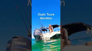 Private Snorkel Charter for groups of 6 snorkeling australia fish moretonisland bribieisland [upl. by Suidaht150]