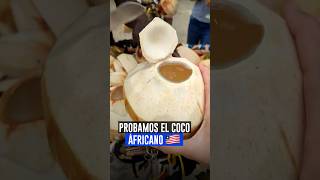 Así son los cocos en África KrystianVazquez [upl. by Lena364]