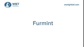 How to say it Furmint [upl. by Aelam]