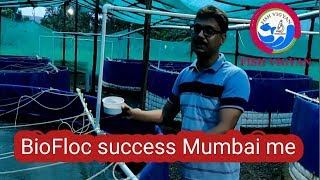 BioFloc fish farming success story Mumbai me [upl. by Barthelemy]