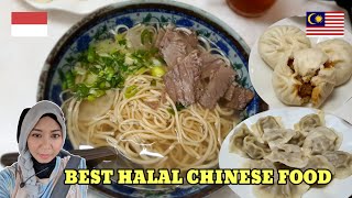 RECOMENDED BEST MEE TAREK HALAL PETALING STREET CHINATOWN KUALA LUMPUR halalfood klfoodie [upl. by Nnylyma609]