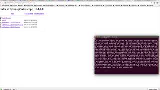 introscope installation [upl. by Akiwak]