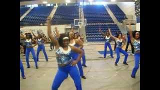 20112012 Dillard High School majorettes PepRally SOS [upl. by Midge]