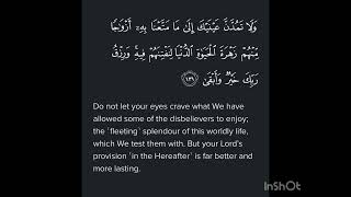 Surah TaHa Ayat 131 [upl. by Ahsetal]