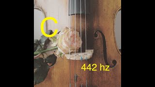 Cello Drone C 442 hz [upl. by Ynej378]