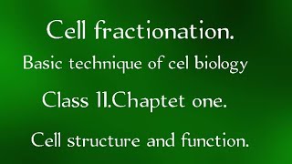 Cell fractionation Technique used in Cell BiologyClas 11،chap1 Cell structure and function [upl. by Eydie906]