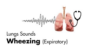 Wheezing expiratory  Lung Sounds  MEDZCOOL [upl. by Leelahk]