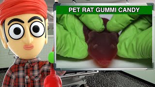 Jelly Belly Pet Rat Gummi Candy  Runforthecube Candy Review [upl. by Melburn729]