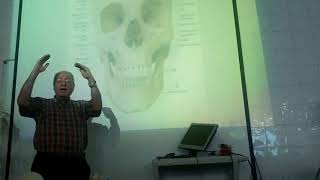 Anatomy of head amp neck 4  Skull  part 4  norma frontalis   by Dr Wahdan [upl. by Ahsyad]