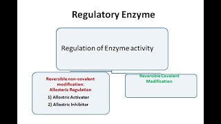 Regulatory Enzymes  Allosteric Enzymes [upl. by Emyaj97]