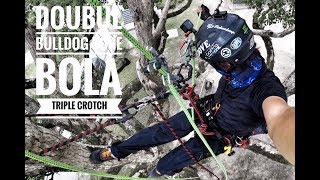 Tree Climbing  Triple Crotch Double Bulldog Bon  Bola  Gopro  Dmm Captain Hook [upl. by Storer]