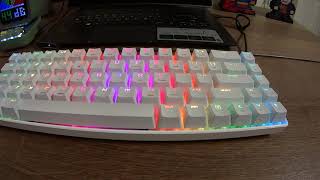 LexonElec STOGA MK14 Mechanical Keyboard Review [upl. by Santini]