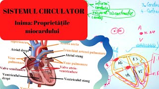 ADMITERE MEDICINA SISTEMUL CIRCULATOR 5 Inima partea I  Proprietatile miocardului [upl. by Avek151]