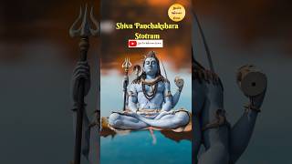 Shiva Panchakshara Stotram🔱🕉️  Divine Mantra  shiva shiv krishna shorts status viral [upl. by Nawuq]