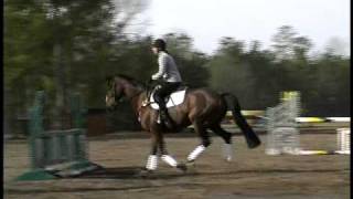 Phillip Dutton Pro Tips  Horse Jumping Tips  Horse Jumps [upl. by Yevol]