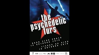 Psychedelic Furs  Love My Way  At The Rollercoaster  LAV 2019 [upl. by Darryn]