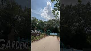 Jurong Lake Gardens shortvideo trending singaporetravel viral florendadaileg 💥 [upl. by Suedaht761]