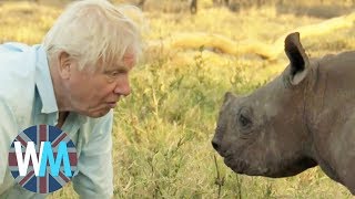 Top 10 David Attenborough Moments [upl. by Rehptsirhc16]