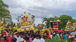 Thaipoosam Cavadee 2023 🌼🦚Muruga🦚🌼  Sockalingum Meenatchee Ammen Kovil Kailassam Mauritius [upl. by Tongue231]