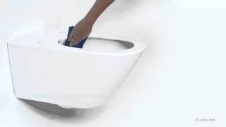 Intercodam  Catalano NewFlush toilet [upl. by Lotsirb]