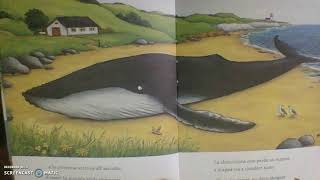 LA CHIOCCIOLINA E LA BALENA  VIDEO E AUDIOLIBRO PER BAMBINI [upl. by Leeann]