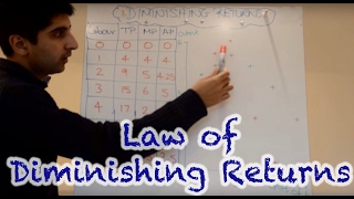 Y2IB 1 Law of Diminishing Returns [upl. by Edialeda]