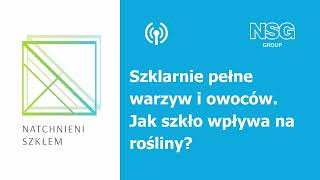 Natchnieni szkłem Szklarnie pełne warzyw i owoców Jak szkło wpływa na rośliny [upl. by Sprage]