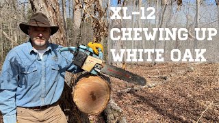 Vintage 1970s Homelite XL12 Chainsaw Review [upl. by Zink]