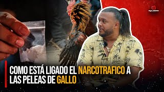 EXPLICA TODO LO QUE HAY DETRÁS DE LOS GALLOS EN REPDOM  EL QUÍMICO [upl. by Aurelea678]