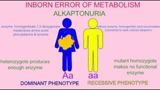 INBORN ERROR OF METABOLISM ALKAPTONURIA [upl. by Serrell]