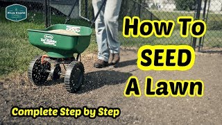 How To Seed a Lawn  Complete Step By Step Guide [upl. by Wardieu202]